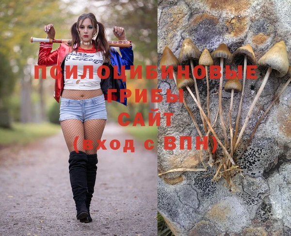 PSILOCYBIN Алексеевка